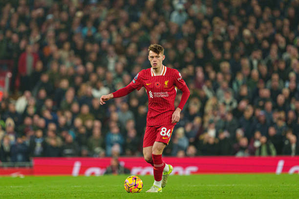 专家的热议 专家的热议