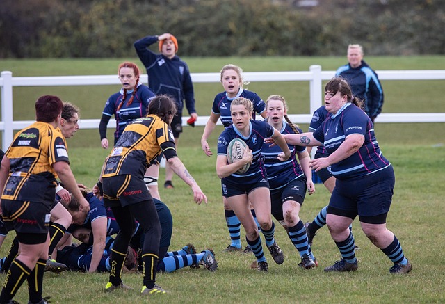 的繁殖季节 的繁殖季节
